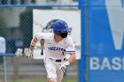 Baseball vs CGA  Wheaton College Baseball vs Coast Guard Academy during game one of the NEWMAC semi-finals playoffs. - (Photo by Keith Nordstrom) : Wheaton, baseball, NEWMAC